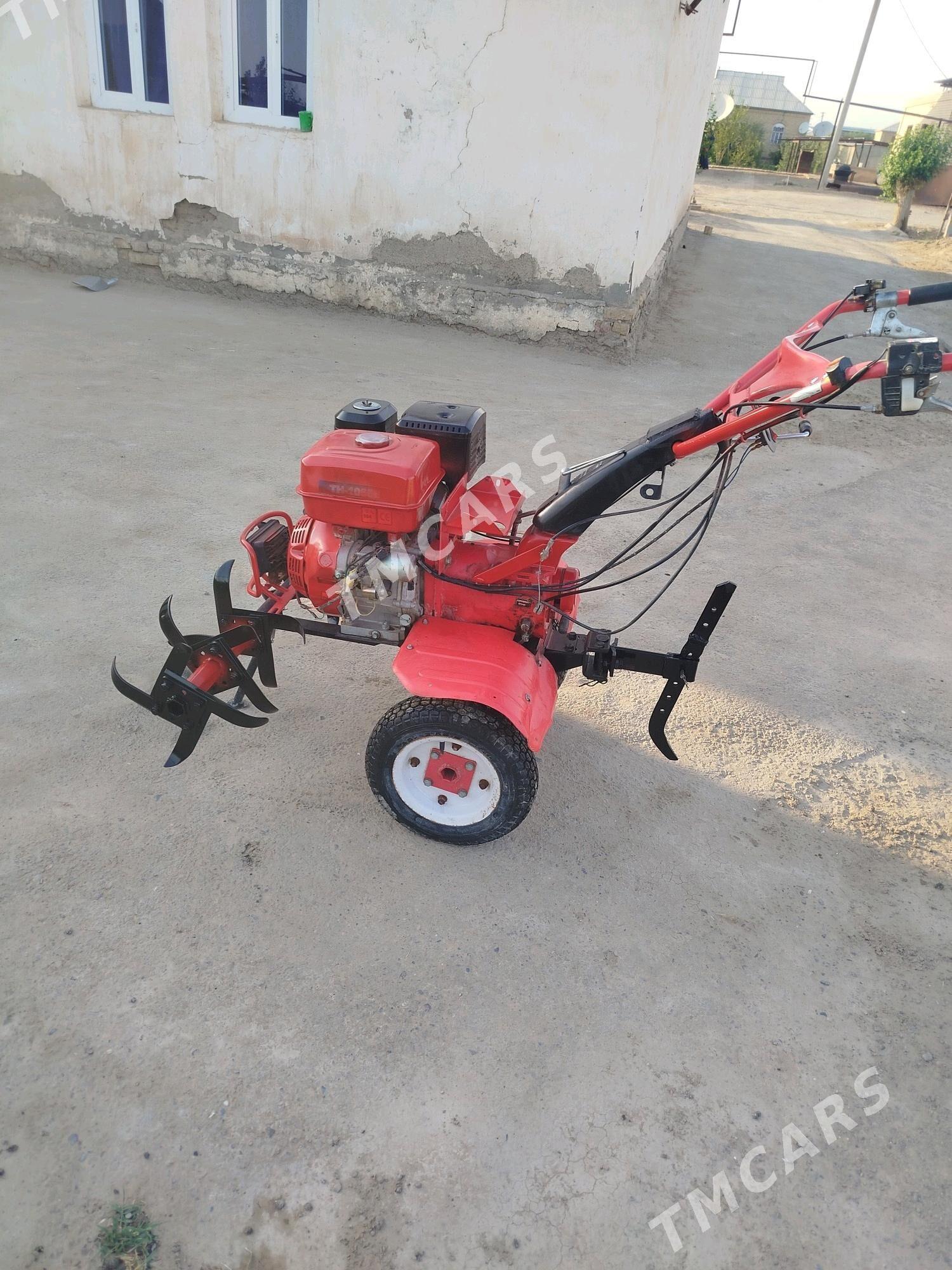 Ýer agdarýan traktor - Mary - img 3