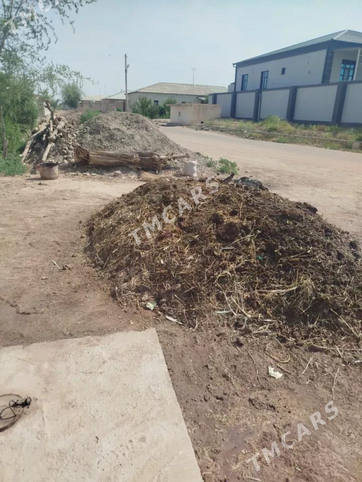 mal derrsi - Губадаг - img 3