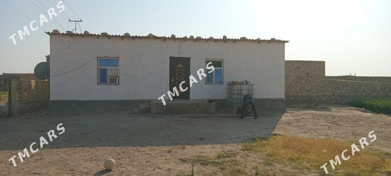 pylan jaÿ - Dostluk - img 2