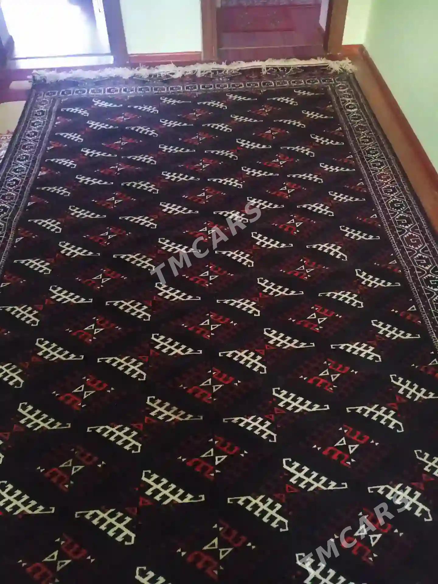 Gara el haly - Aşgabat - img 3