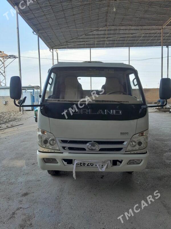 Forland H2 2014 - 150 000 TMT - Мары - img 2