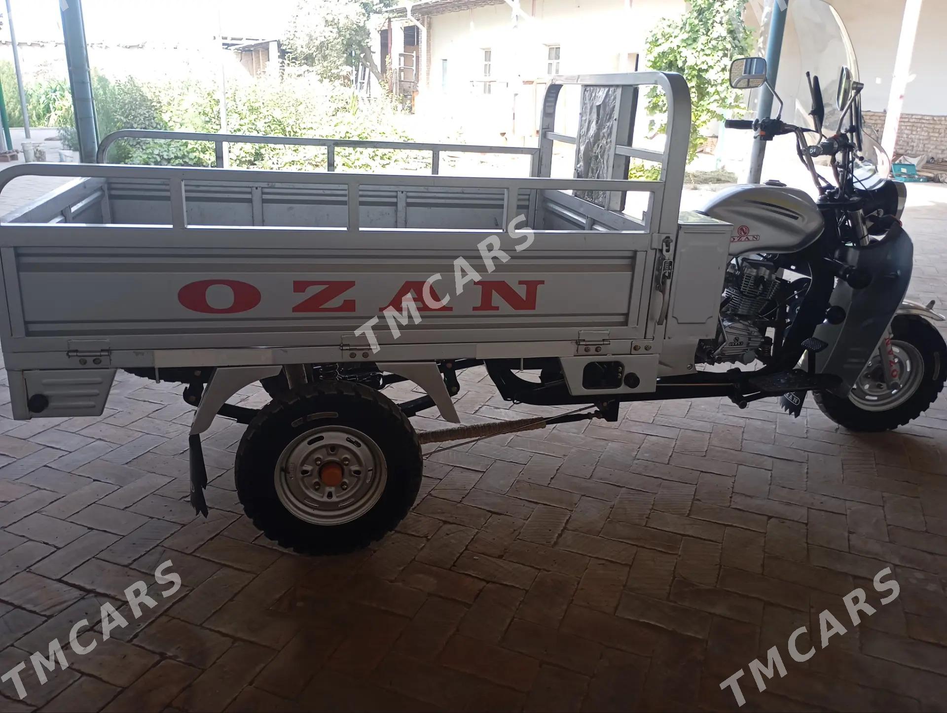MTZ 82 2025 - 27 000 TMT - Halaç - img 5