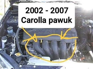 Carolla Pavuk 2002_2005 650 TMT - Ýolöten - img 2