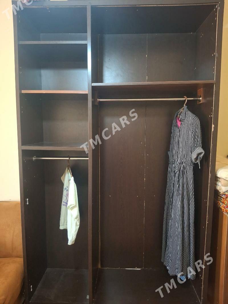 garderog - Daşoguz - img 2