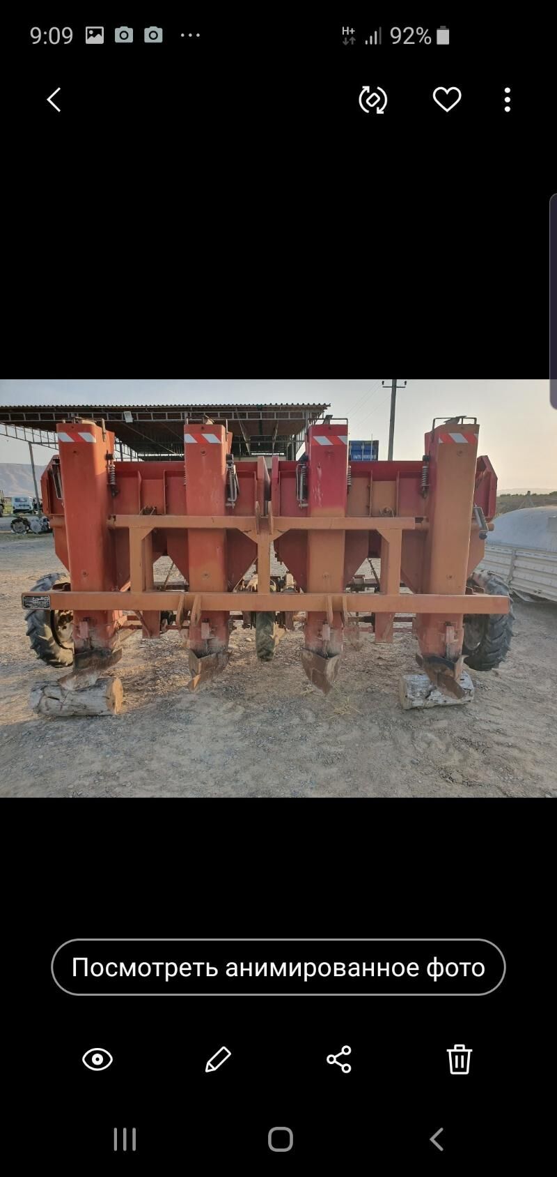 Картошка экйан гурал 80 000 TMT - Ýaşlyk - img 1