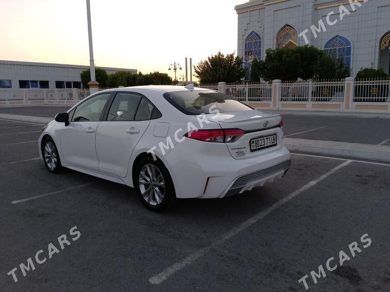 Toyota Corolla 2020 - 230 000 TMT - Türkmenabat - img 2