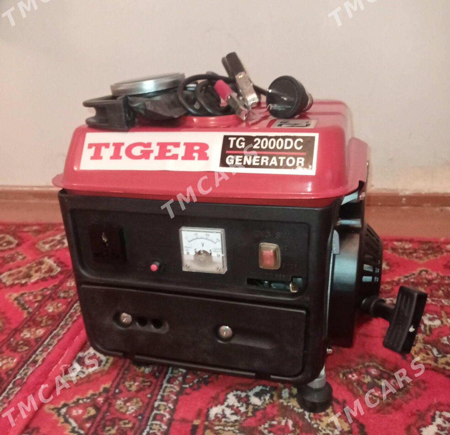 Dwižok Tiger - Дашогуз - img 2