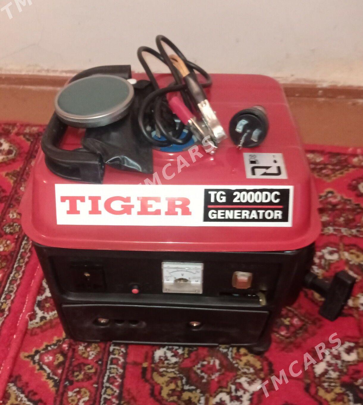 Dwižok Tiger - Дашогуз - img 4