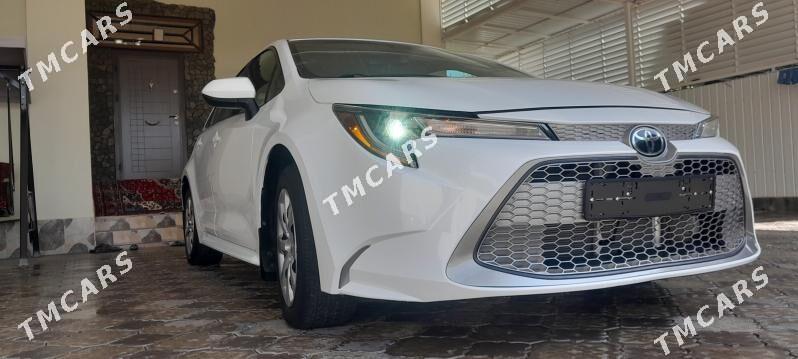 Toyota Corolla 2021 - 255 000 TMT - Mary - img 5