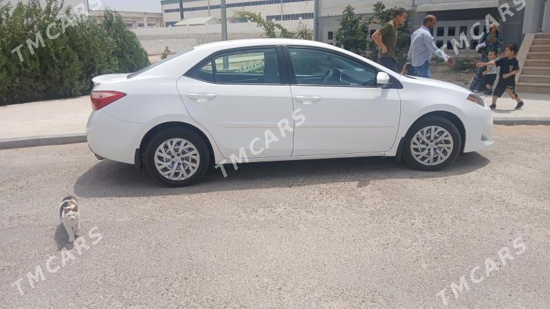 Toyota Corolla 2017 - 235 000 TMT - Бузмеин - img 2