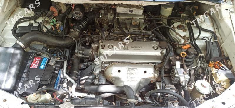 Toyota Previa 1995 - 55 000 TMT - Mary - img 8