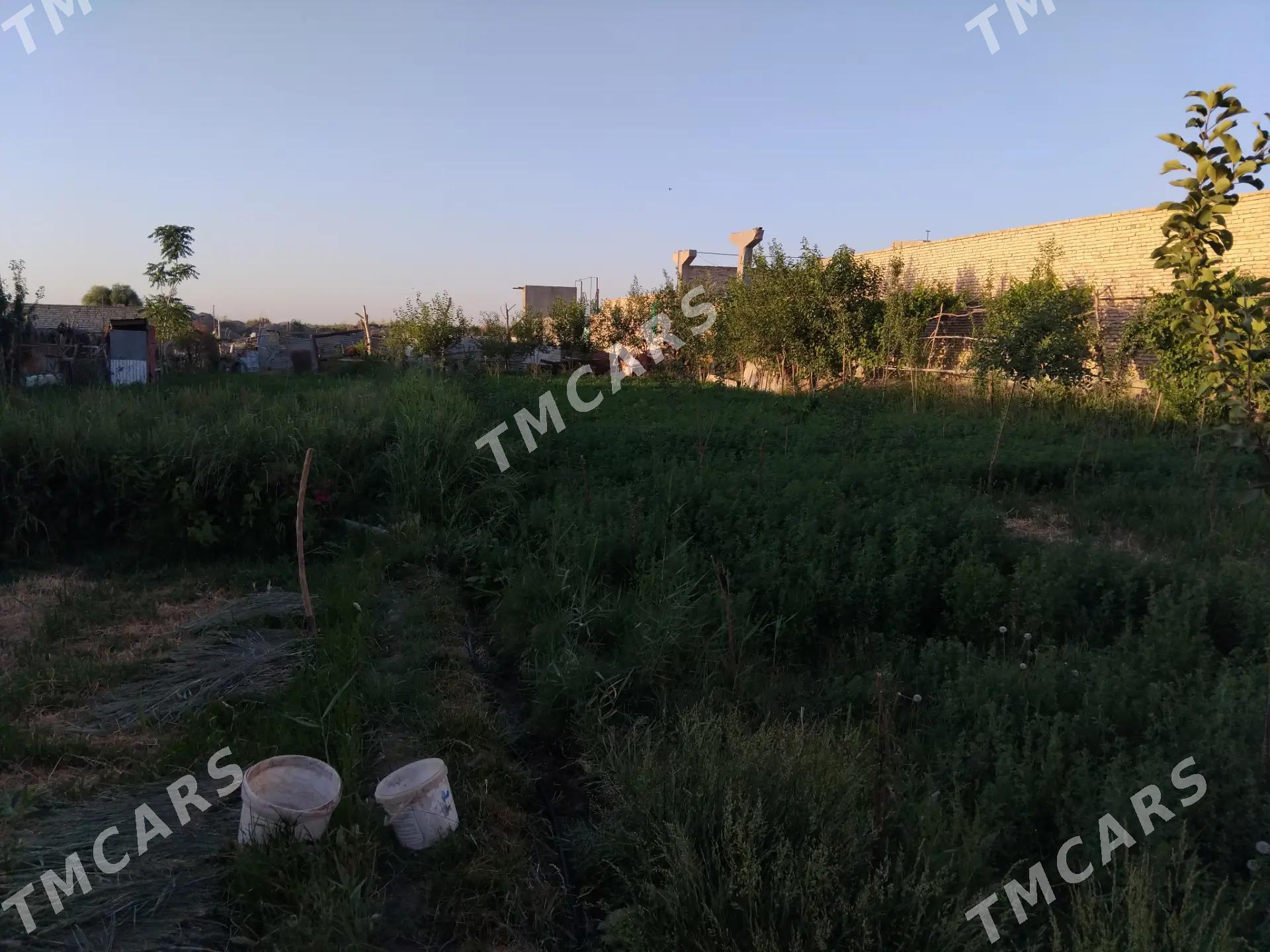 Sqtlyk - Туркменабат - img 10