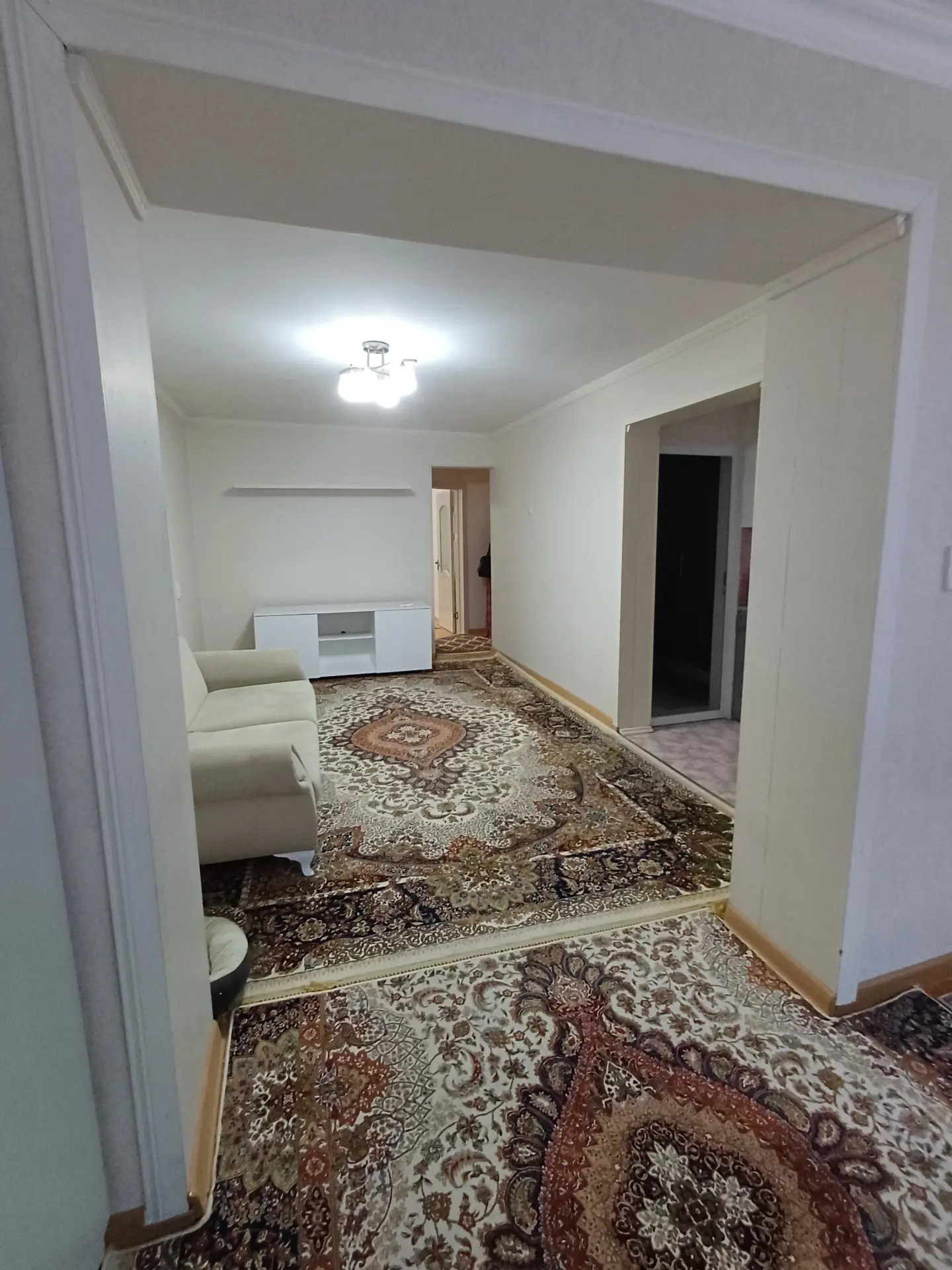 SATLYK JAÝ .MOPRA ALYSER NOWAÝ - Aşgabat - img 9
