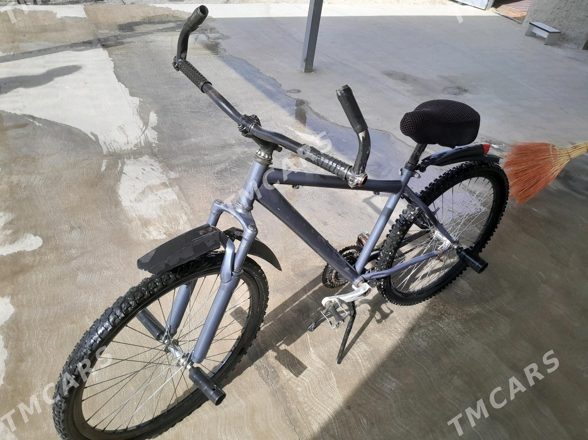 tigir - Gyzylarbat - img 3
