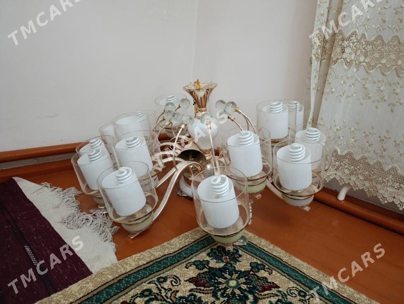 SATLYK LÝUSTRA - Aşgabat - img 2