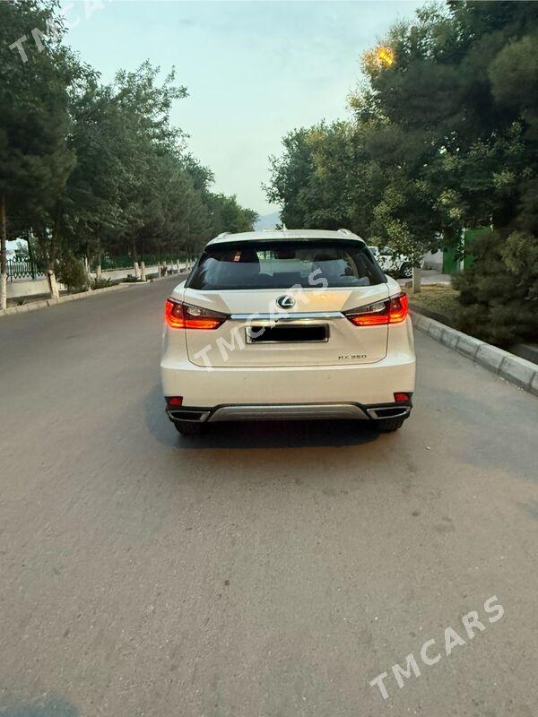 Lexus RX 350 2020 - 565 500 TMT - Aşgabat - img 2