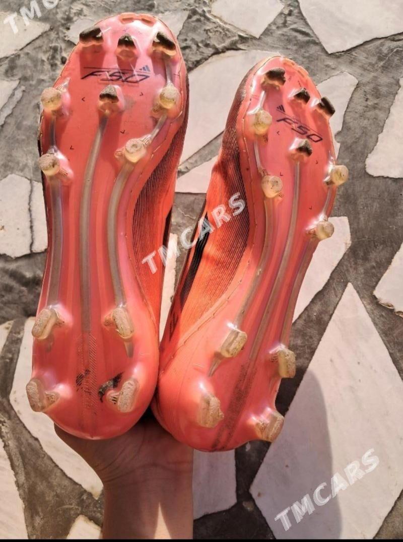 F50 - Parahat 8 - img 2