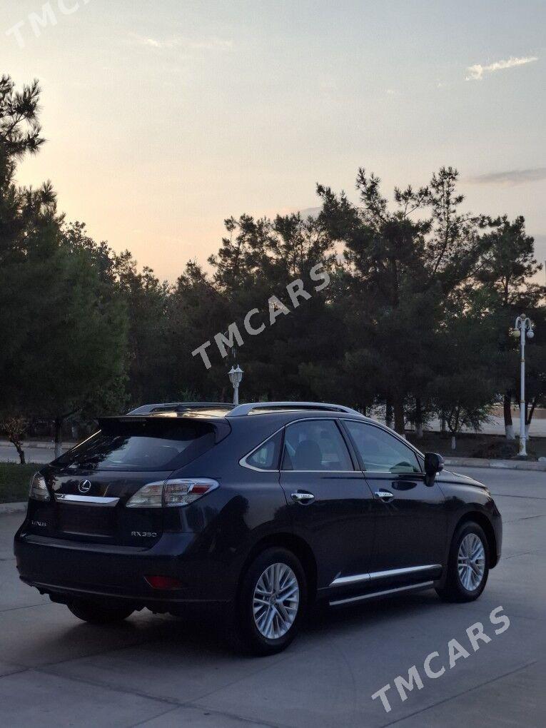 Lexus RX 350 2010 - 320 000 TMT - Türkmenabat - img 2