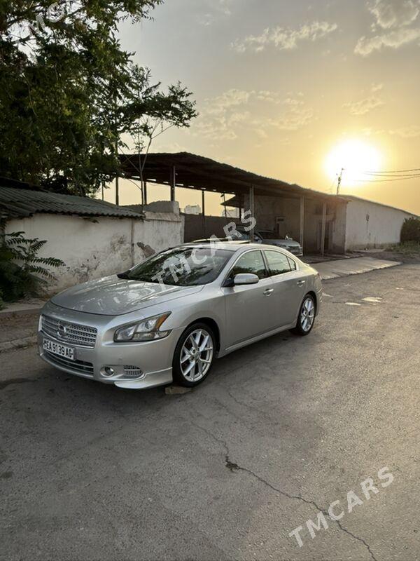 Nissan Maxima 2010 - 165 000 TMT - Aşgabat - img 2