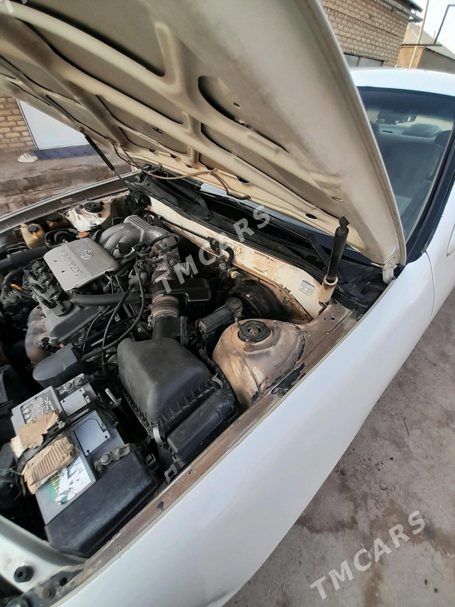 Toyota Avalon 1999 - 110 000 TMT - Tejen - img 4