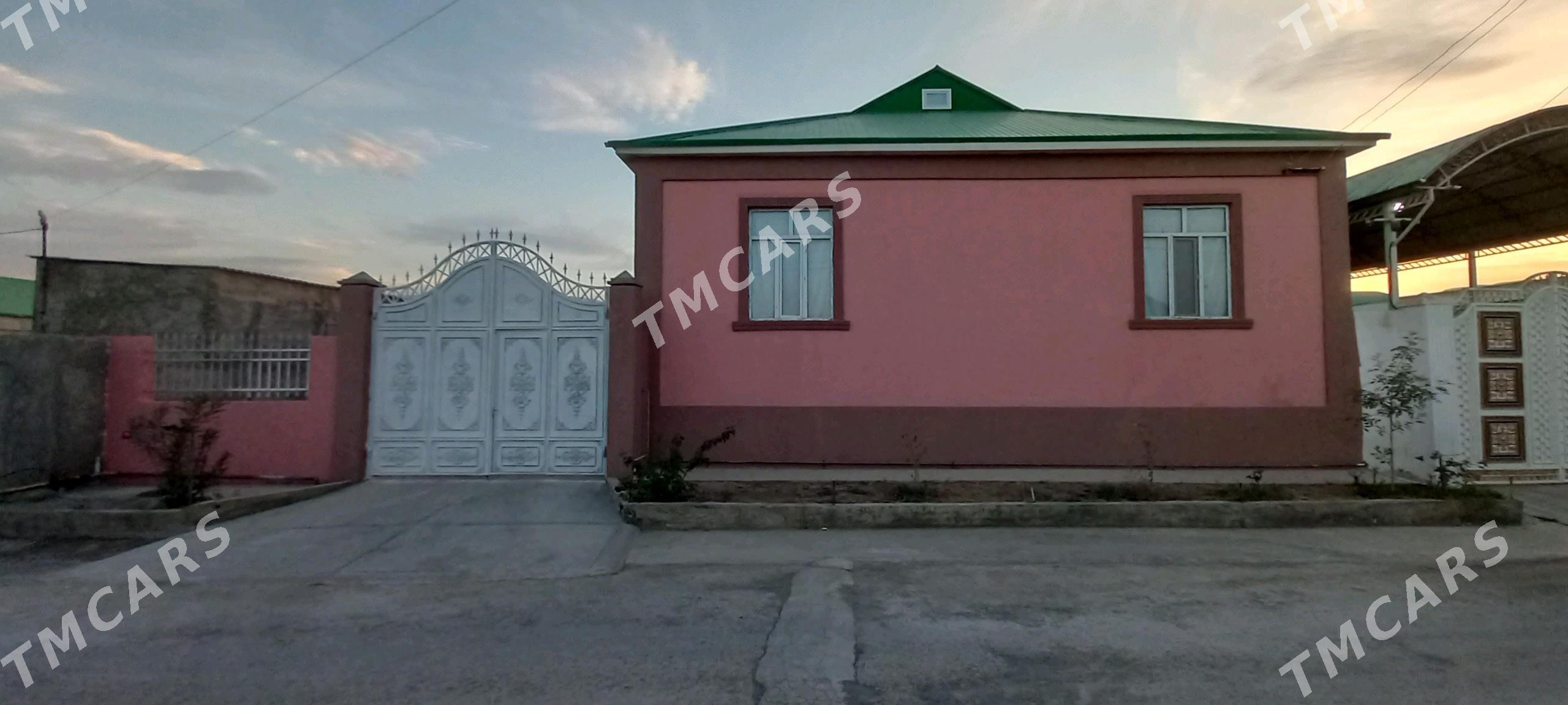 bagyr mirewe - Багир - img 2