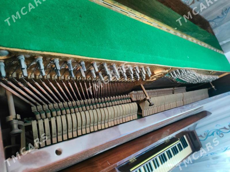 pianino rönisch - Ашхабад - img 3