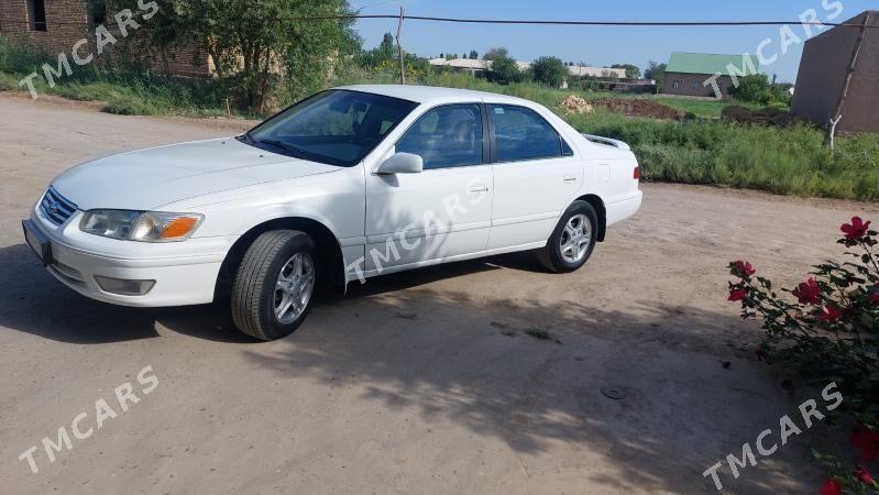 Toyota Camry 2000 - 150 000 TMT - Gurbansoltan Eje - img 6