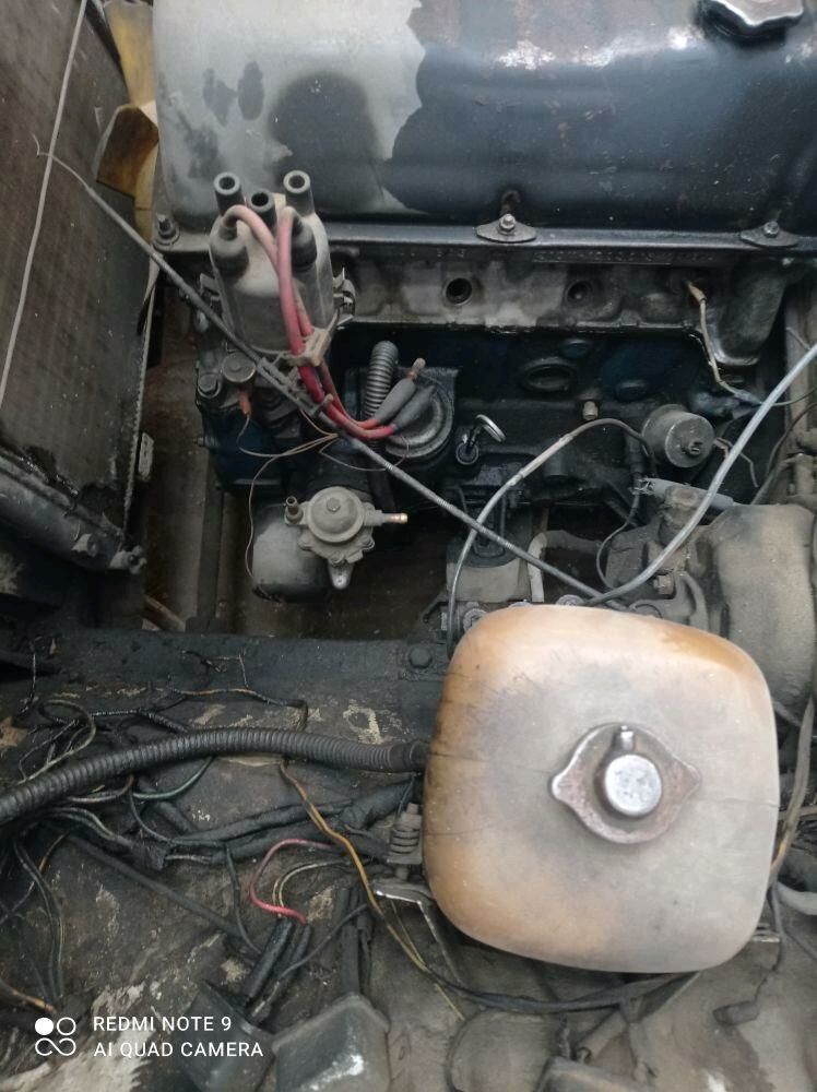 lada - Gumdag - img 1