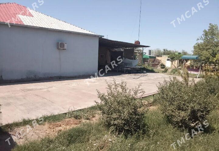 Собственный Дом Птиц-совхоз - Туркменабат - img 2