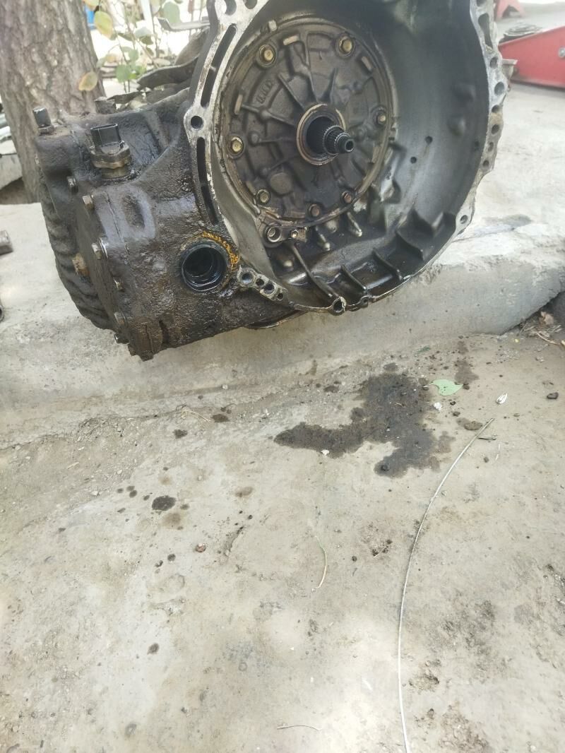 Babyçka 2.2 karopga 1 300 TMT - Aşgabat - img 3