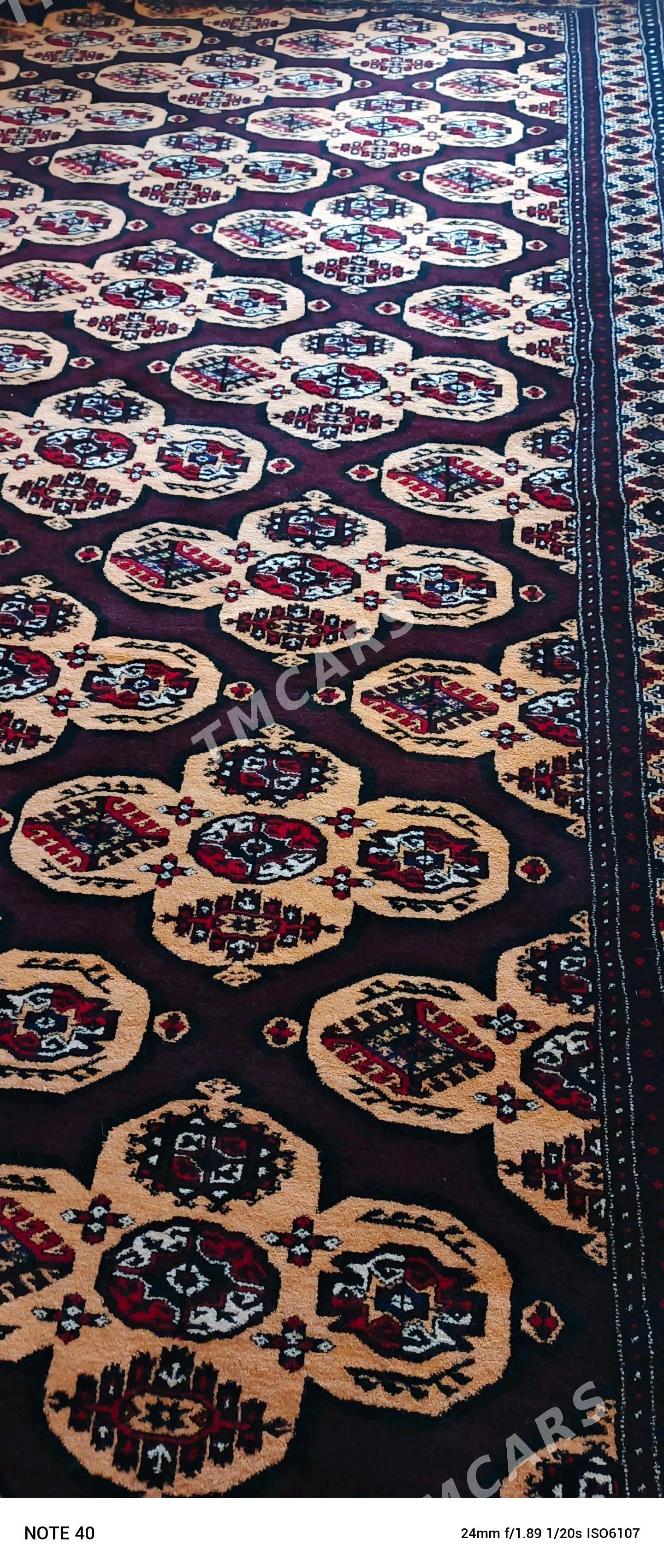 haly - Bereket - img 3