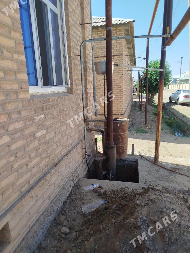 ATAPLENYA CEKMEK HYZMATY - Sakarçäge - img 3
