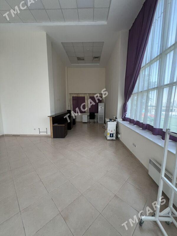bos pameseniye - Podwoýski köç. (Bitarap Türkmenistan şaýoly) - img 4
