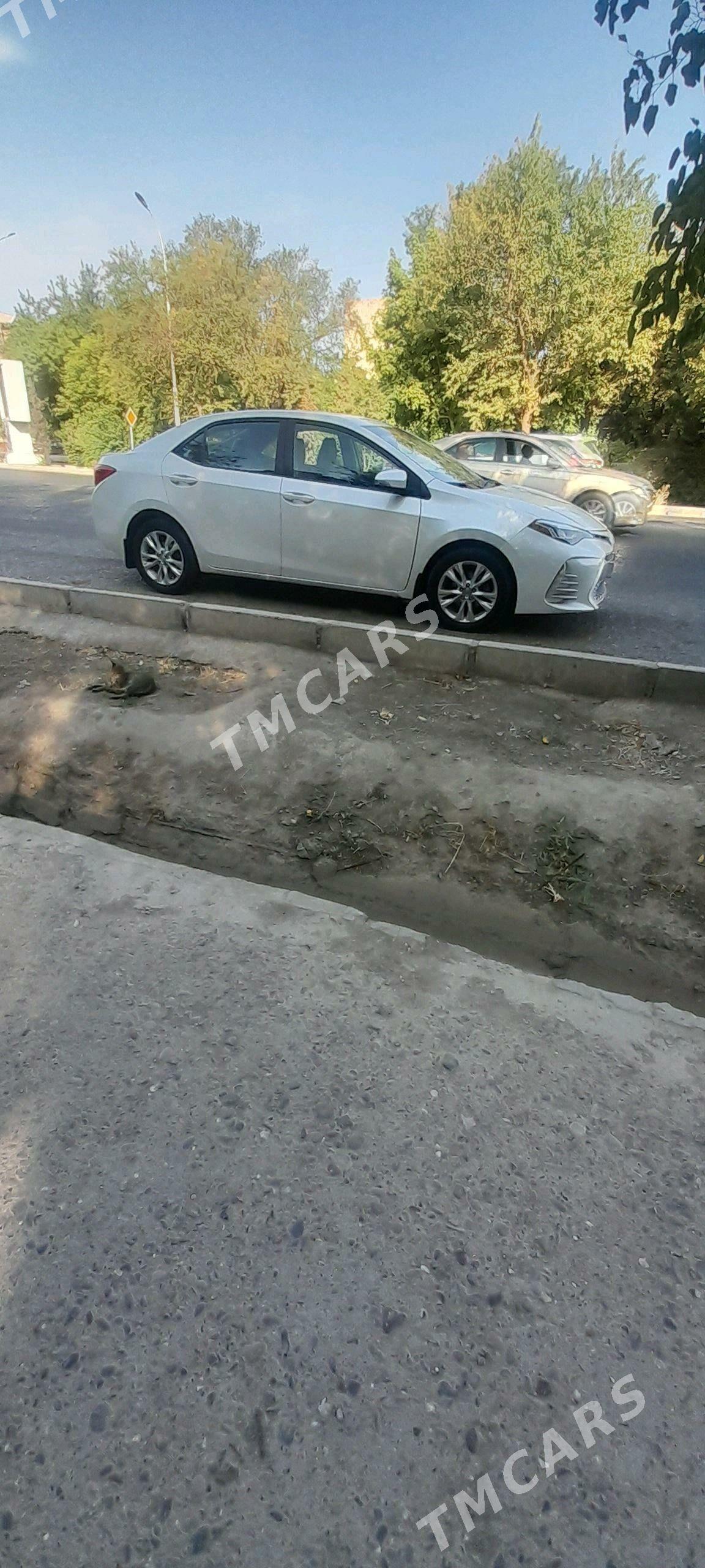 Toyota Corolla 2017 - 170 000 TMT - Мары - img 2