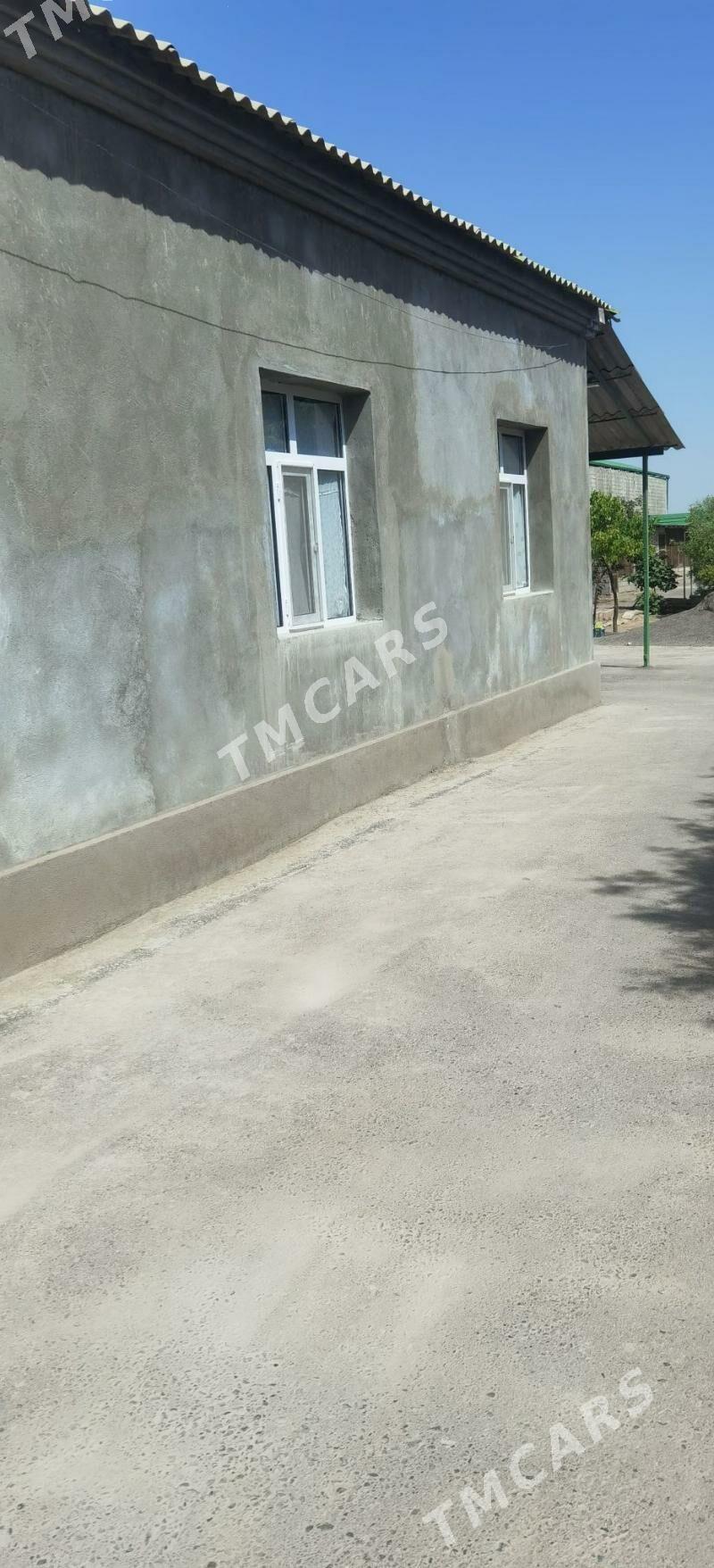 şor garadamak - Aşgabat - img 2
