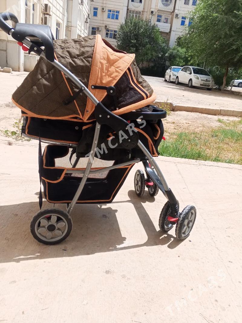 kalyaska - Aşgabat - img 2