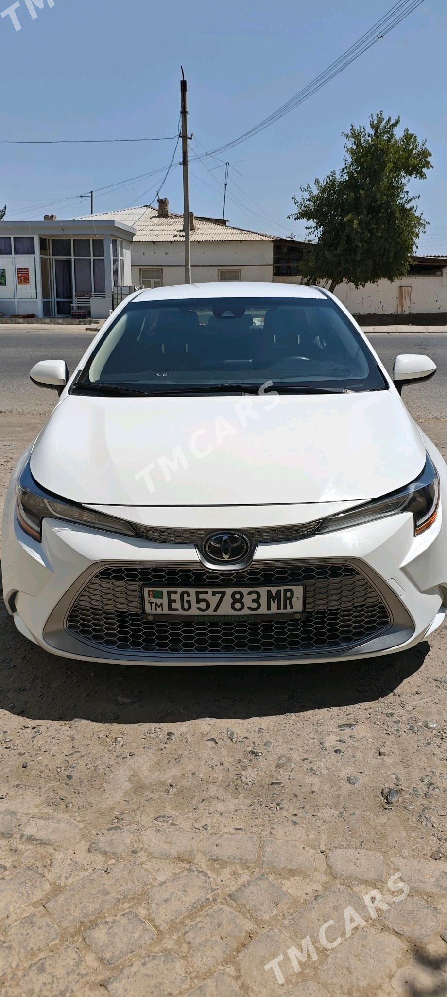 Toyota Corolla 2022 - 240 000 TMT - Байрамали - img 5