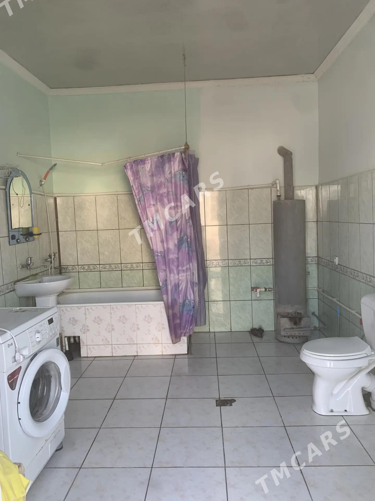 Gämi Arenda - Ak bugdaý etraby - img 2