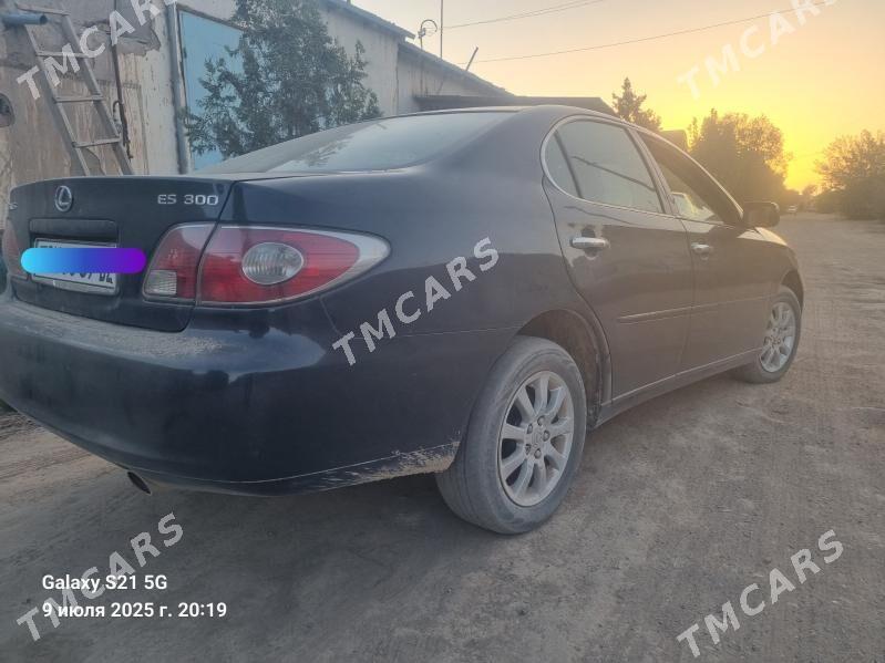 Lexus ES 300 2002 - 135 000 TMT - Гурбансолтан Едже - img 2