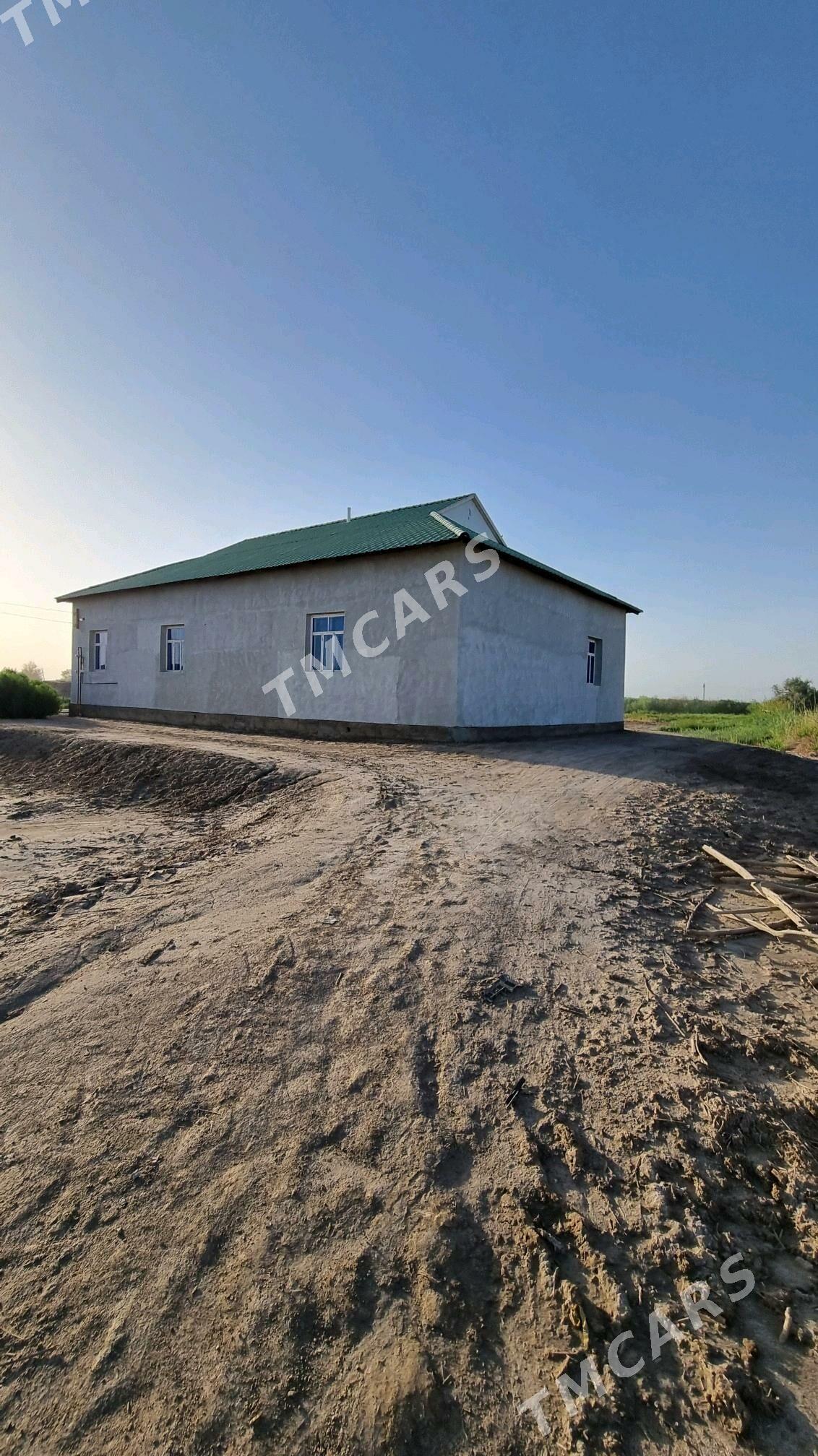 Satlyk jay - Türkmenbaşy etr. - img 2