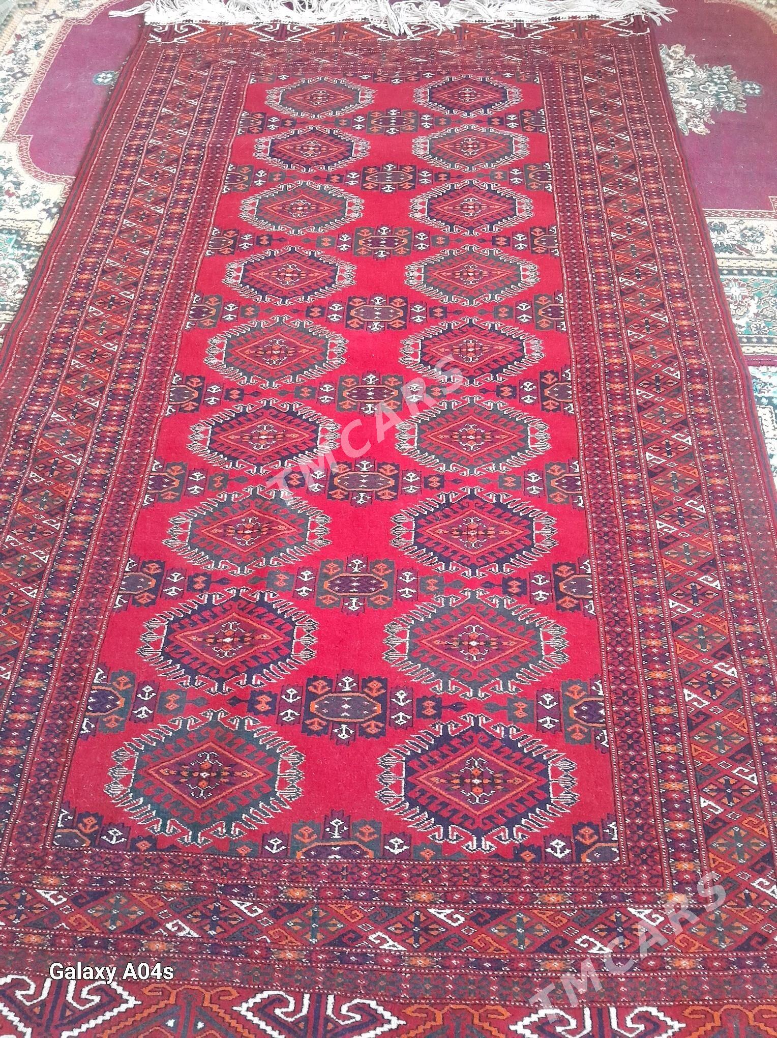 ince el el haly - Bäherden - img 4