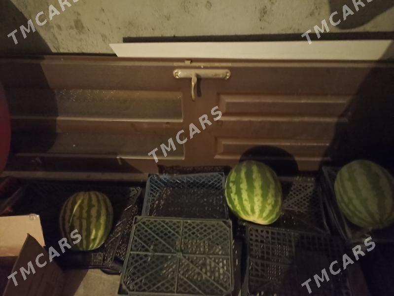 гапы gapy - Ak bugdaý etraby - img 1