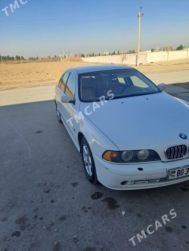 BMW 525 2003 - 100 000 TMT - Ak bugdaý etraby - img 2