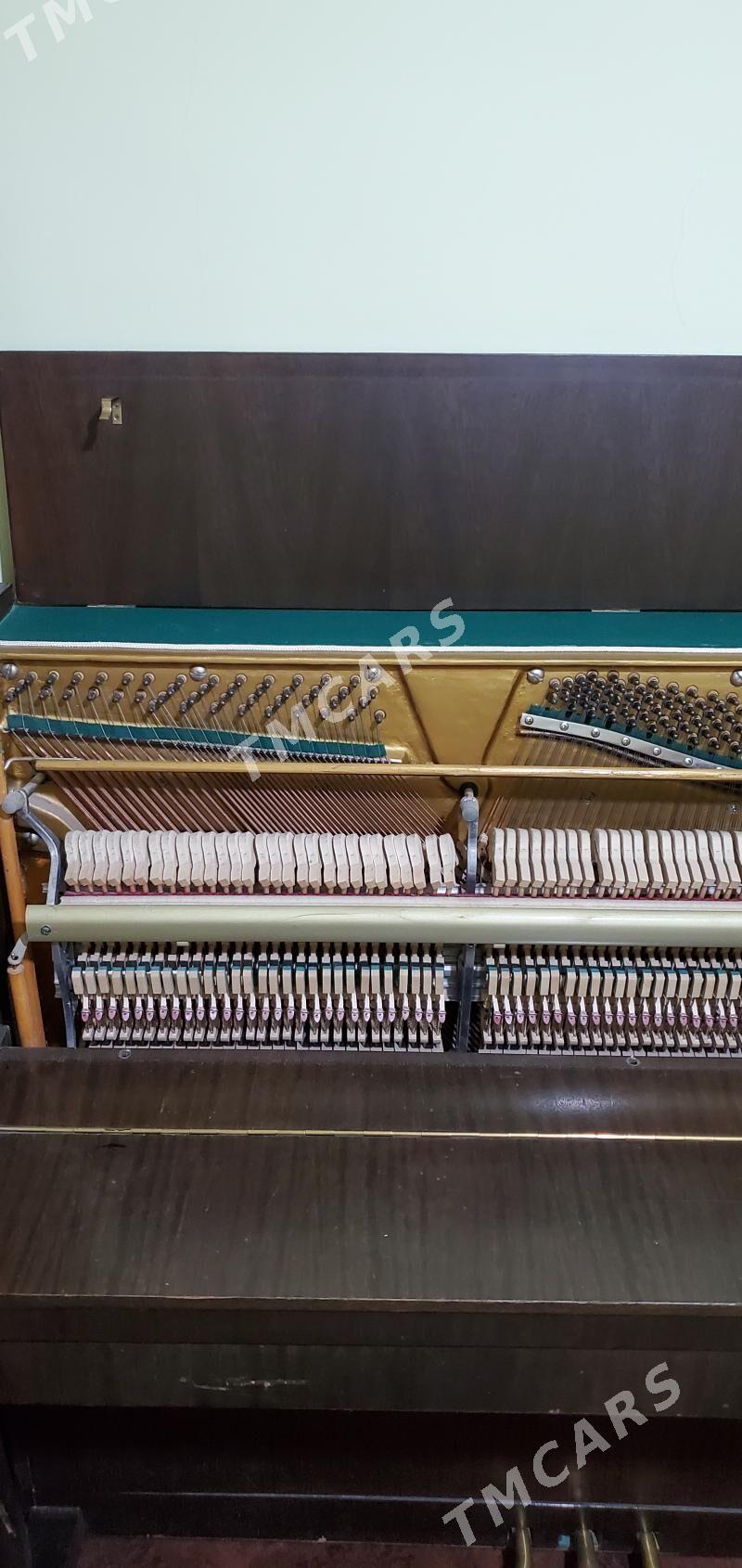 Pianino - Мары - img 4