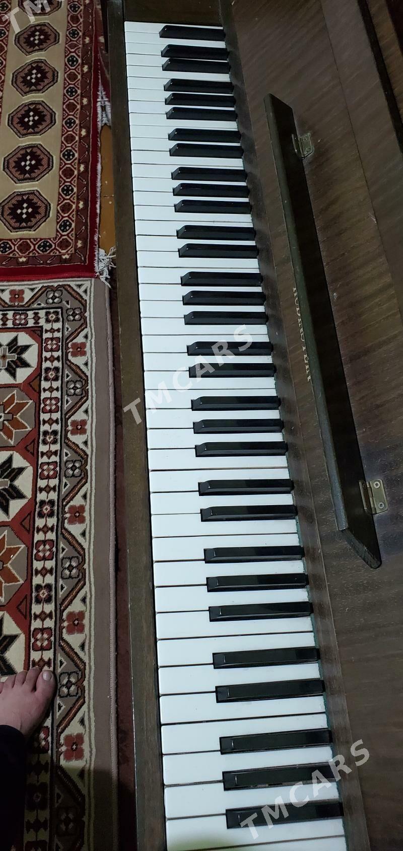 Pianino - Мары - img 3
