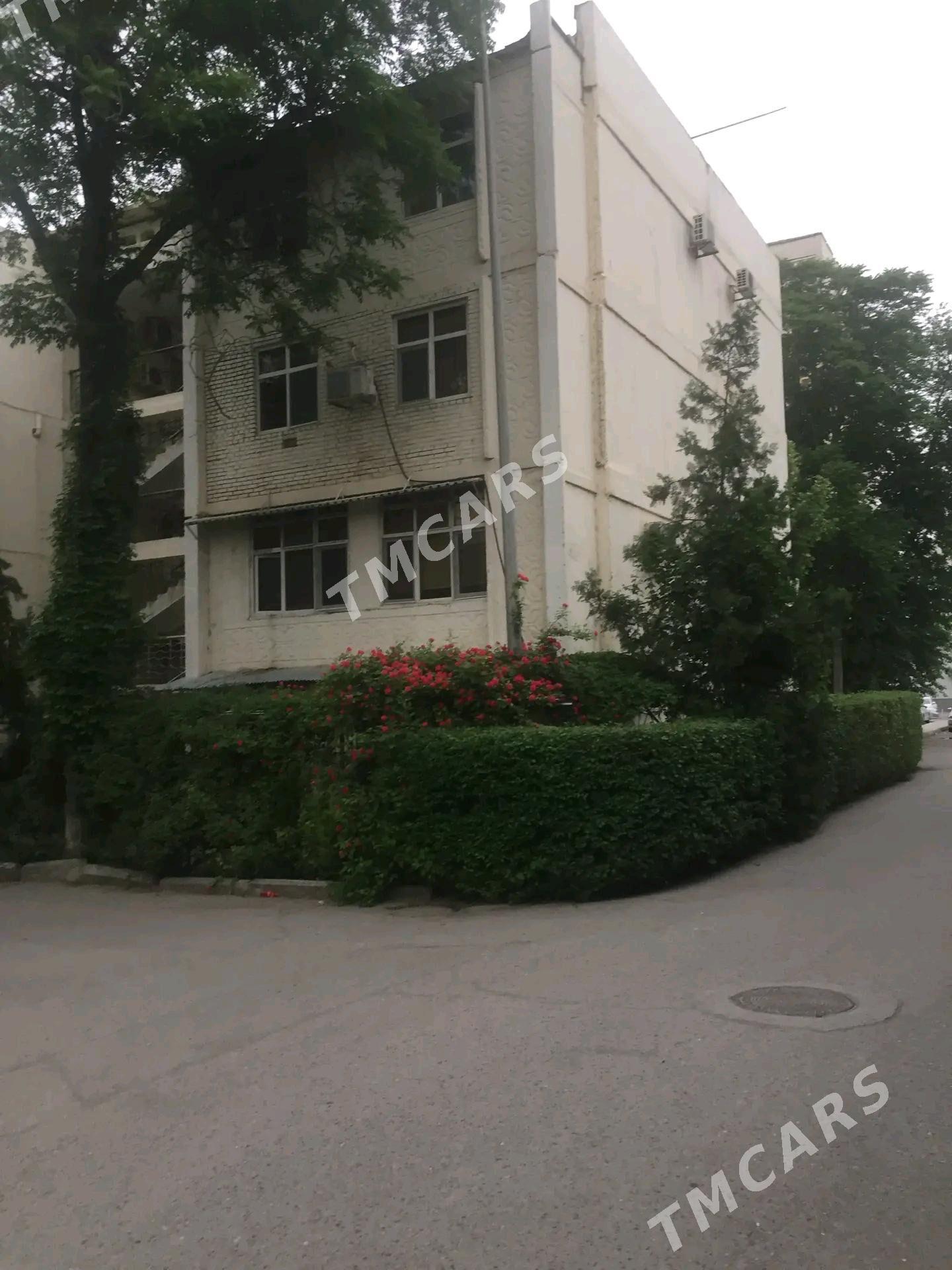 ️  ALYŞIR NOWAÝY 3 KOM  ️ - Ашхабад - img 3
