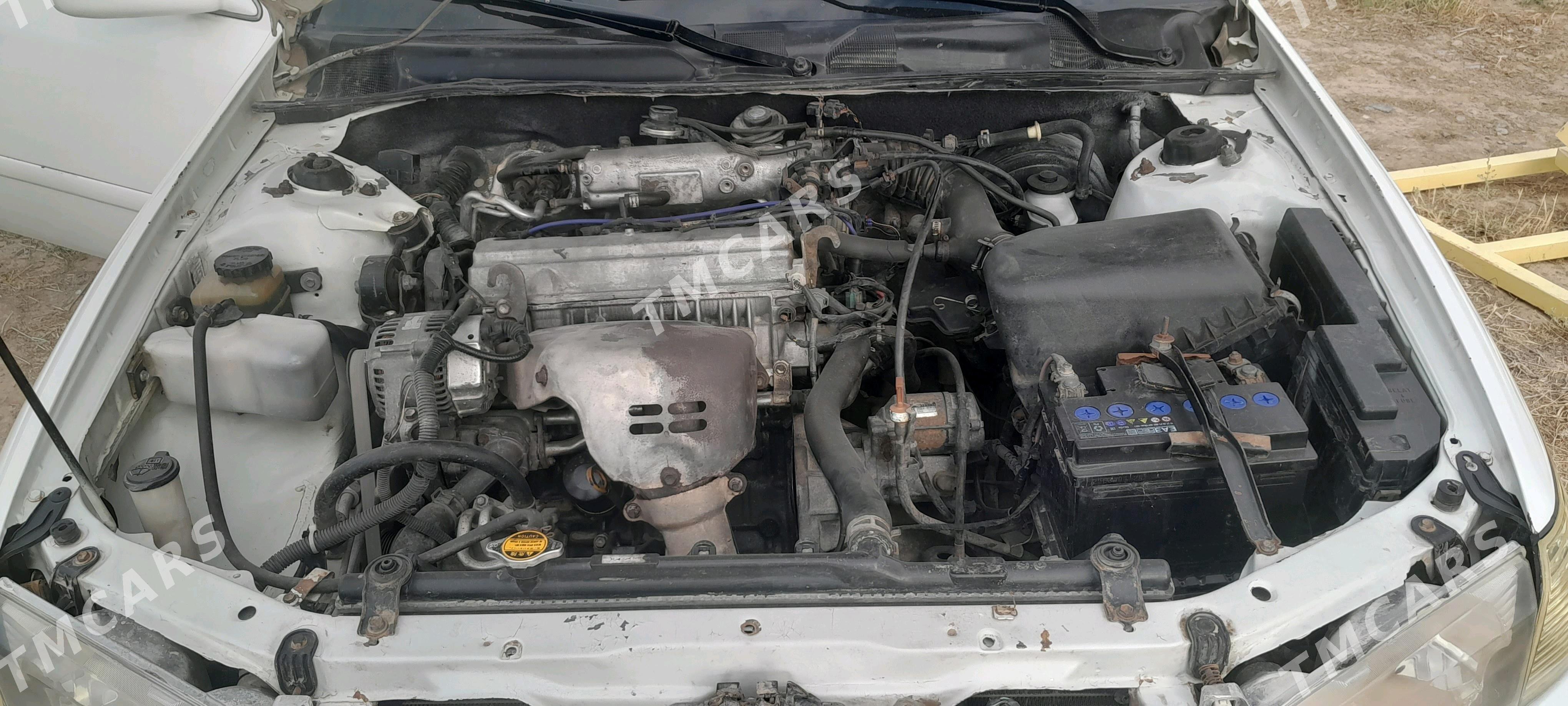 Toyota Camry 2000 - 110 000 TMT - Губадаг - img 5