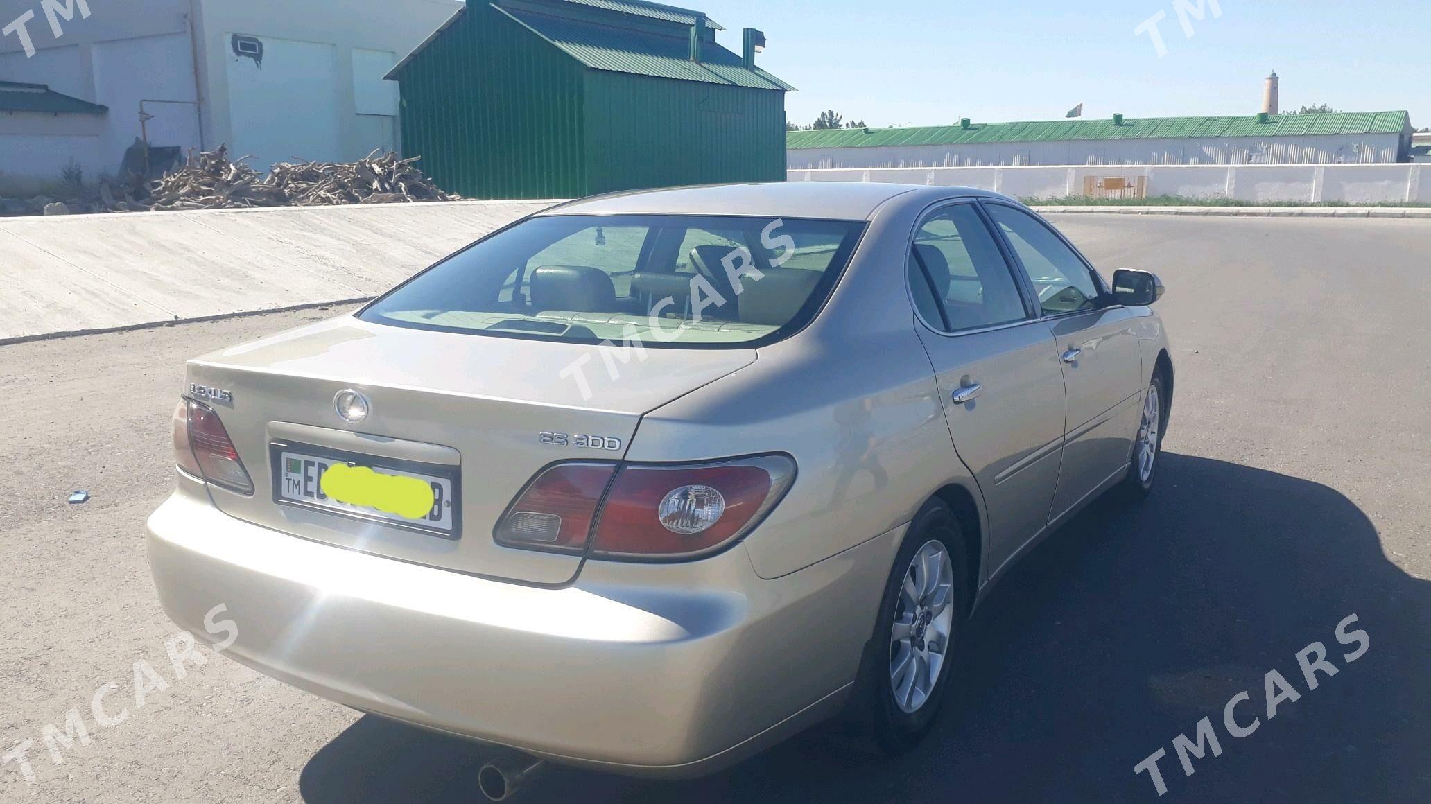 Lexus ES 300 2002 - 165 000 TMT - Türkmenabat - img 2