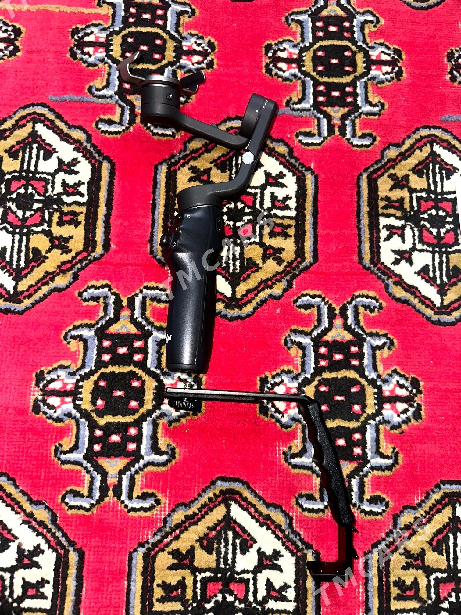 dji rinin - Sakarçäge - img 4