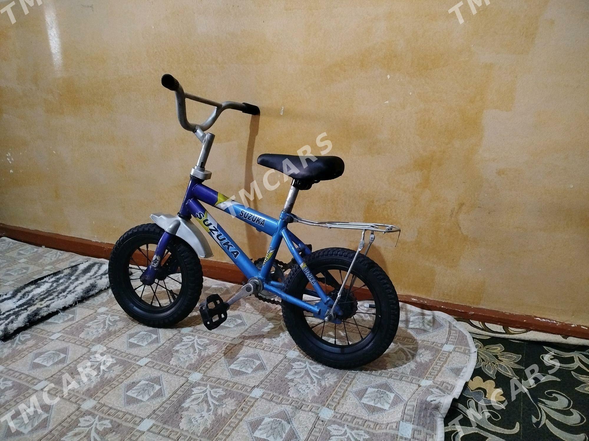 caga Tigir - Aşgabat - img 3